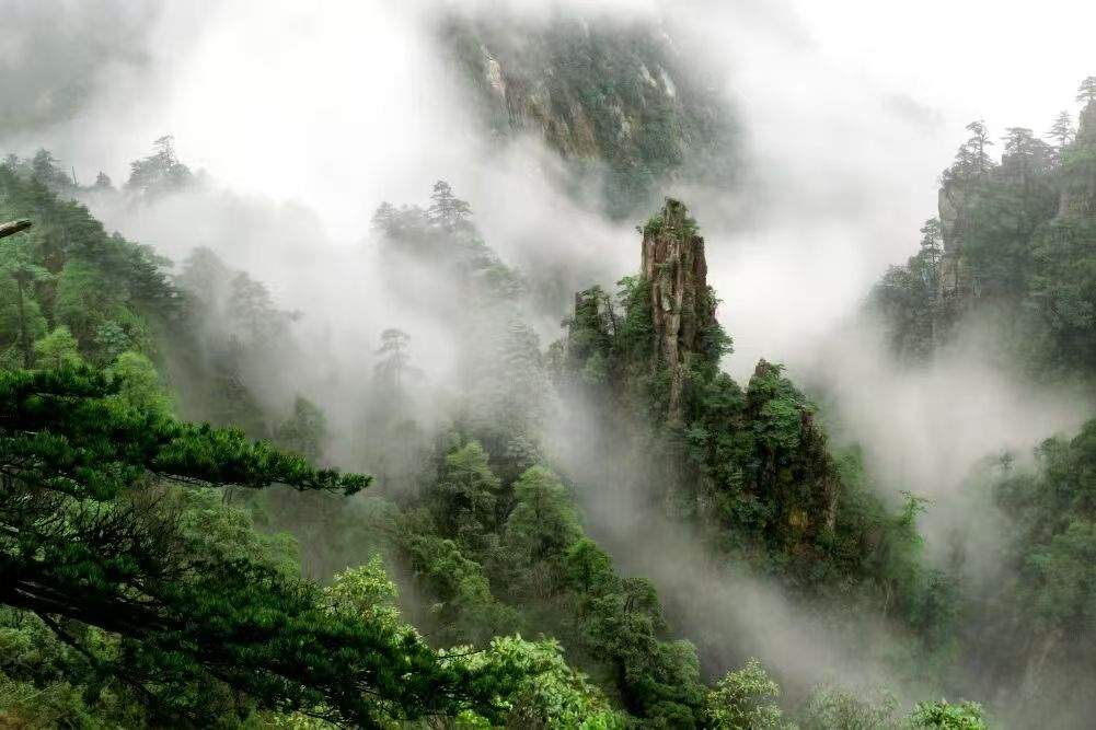 编辑, 以坚实厚积